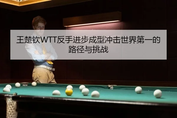 王楚钦WTT反手进步成型冲击世界第一的路径与挑战